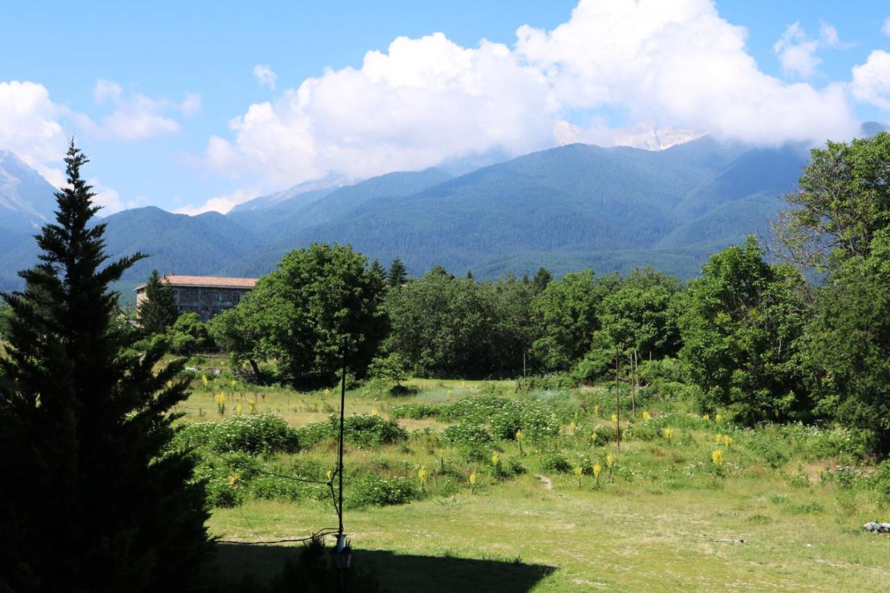 Private Apartments In Alpine Lodge Банско Екстериор снимка