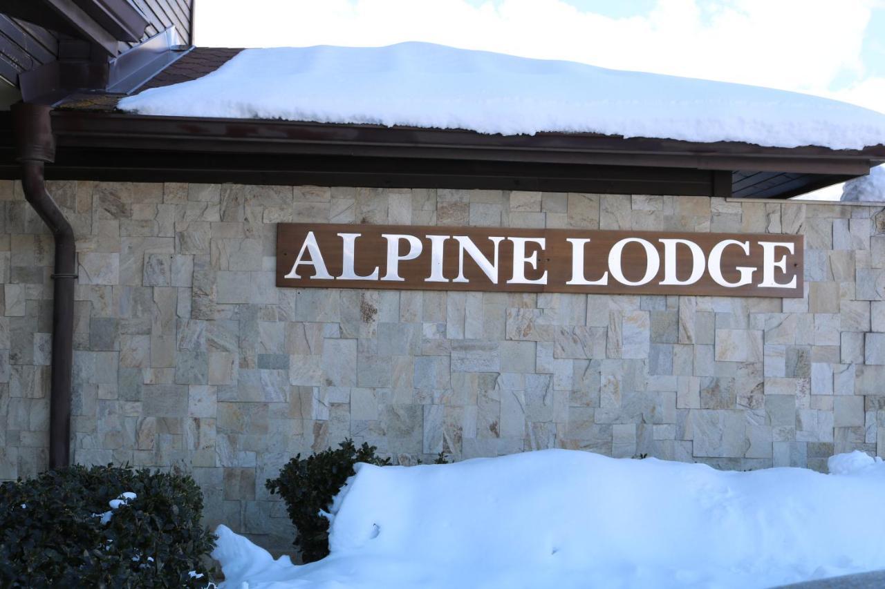 Private Apartments In Alpine Lodge Банско Екстериор снимка