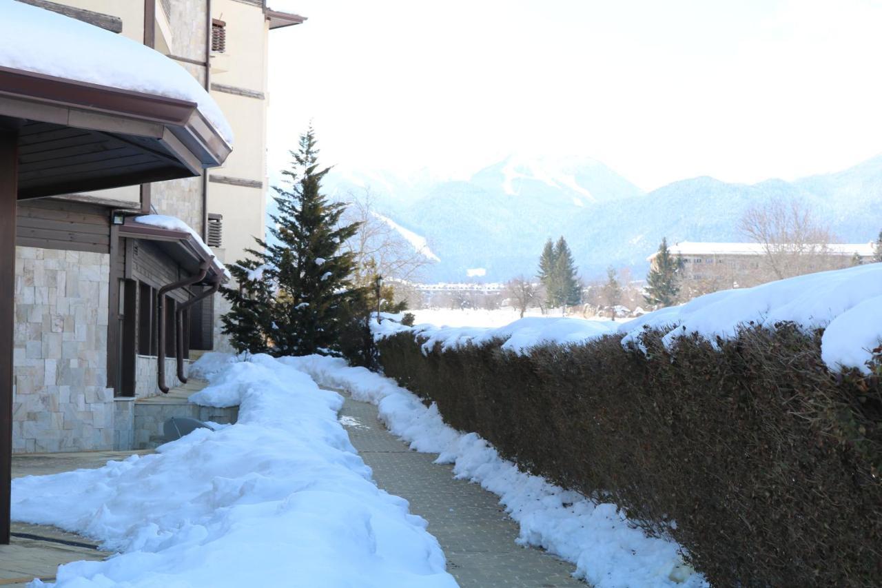 Private Apartments In Alpine Lodge Банско Екстериор снимка